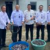 Dukung Program Menteri Imigrasi dan Pemasyarakatan, Lapas Narkotika Bandar Lampung Sukses Panen Lele 150kg