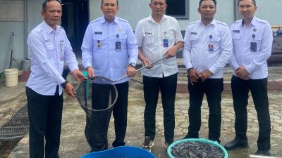 Dukung Program Menteri Imigrasi dan Pemasyarakatan, Lapas Narkotika Bandar Lampung Sukses Panen Lele 150kg