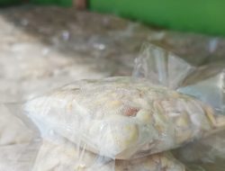 Kegiatan Pengelolaan Kedelai di Lapas Kelas 1 Bandar Lampung