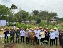 Dari Way Kambas hingga SAE: Lapas Kelas I Bandar Lampung Tanam Pohon Kelapa Serentak Dukung Ketahanan Pangan Nasional