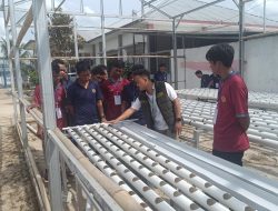 Bekal Jadi ‘Petani Modern,’ Warga Binaan Lapas Gunung Sugih Dilatih Hidroponik