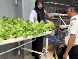 Optimalkan Panen, Peserta Magang Nasional Cek pH Tanaman Selada dan Pakcoy di Lapas Narkotika Bandar Lampung