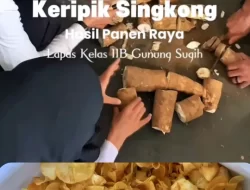 Sinergi Kreativitas: Singkong Panen Raya Lapas Gunung Sugih Disulap Menjadi Produk UMKM Unggulan