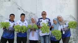 Dukung Ketahanan Pangan, Rutan Singkil Panen Selada dan Bayam Merah