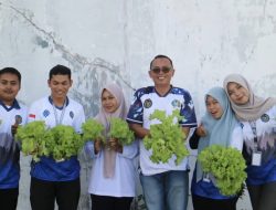 Dukung Ketahanan Pangan, Rutan Singkil Panen Selada dan Bayam Merah