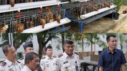 Dirjenpas Tinjau Kemandirian Lapas Narkotika Bandar Lampung: Dari Ayam Petelur hingga Produksi Roti