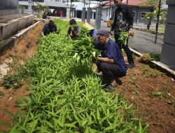 Wujudkan Kemandirian Pangan, Lapas Way Kanan Panen Bayam dan Kangkung dari Lahan Produktif