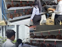 Lapas Narkotika Bandar Lampung Panen Telur, Bukti Nyata Keberhasilan Pembinaan Kemandirian