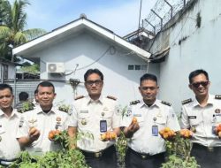 Bukti Pembinaan Produktif, Lapas Kalianda Panen Tomat dan Terong Bersama Jajaran