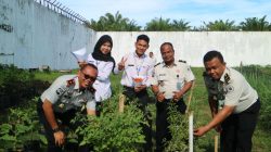 Dari Lahan Pembinaan Menuju Ketahanan Pangan: Panen Tomat Rutan Kelas IIB Singkil