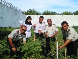 Dari Lahan Pembinaan Menuju Ketahanan Pangan: Panen Tomat Rutan Kelas IIB Singkil