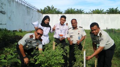 Dari Lahan Pembinaan Menuju Ketahanan Pangan: Panen Tomat Rutan Kelas IIB Singkil
