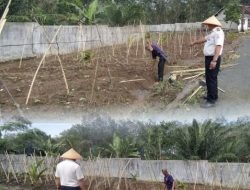 Wujudkan Kemandirian Pangan, Lapas Way Kanan Optimalkan Budidaya Kacang Panjang dan Jagung