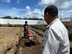 Sesuatu Sedang Ditanam… Kira-Kira Apa?