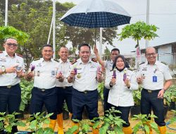 RUTAN BANDA ACEH DUKUNG KETAHANAN PANGAN, KAKANWIL DITJENPAS ACEH PIMPIN PANEN SAWI DAN TERONG