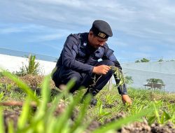 Rutan Singkil Kembali Garap Lahan Baru, Perkuat Komitmen Dukung Ketahanan Pangan
