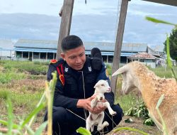 Pagi Ini, Suara Tangisan Menggema di Rutan Singkil. Apa yang Terjadi?