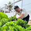 Produktif dan Berdampak, Rutan Singkil Panen Bayam Brazil