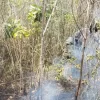 Kebakaran Terjadi Lagi di TNWK Lampung Timur, Tim Gabungan Kerahkan Helikopter Water Bombing
