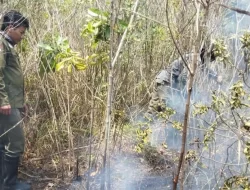 Kebakaran Terjadi Lagi di TNWK Lampung Timur, Tim Gabungan Kerahkan Helikopter Water Bombing