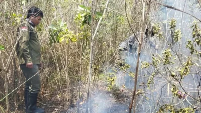 Kebakaran Terjadi Lagi di TNWK Lampung Timur, Tim Gabungan Kerahkan Helikopter Water Bombing