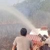 KEBAKARAN LAHAN TERJADI DI SEJUMLAH KABUPATEN DI LAMPUNG, POLDA DAN TIM GABUNGAN BERGERAK DIPADAMKAN