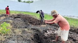 Usai Panen Kangkung, Rutan Singkil Perluas Lahan Kebun untuk Tingkatkan Produktivitas