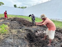 Usai Panen Kangkung, Rutan Singkil Perluas Lahan Kebun untuk Tingkatkan Produktivitas