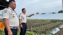 Karutan dan Ka. KPR Pastikan Lingkungan Kantor dan Kebun Tetap Terawat