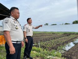 Karutan dan Ka. KPR Pastikan Lingkungan Kantor dan Kebun Tetap Terawat