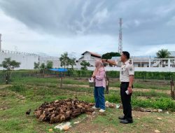 Dari Kandang Jadi Peluang! Karutan Singkil Dorong Pembinaan Peternakan Bebek Semakin Produktif