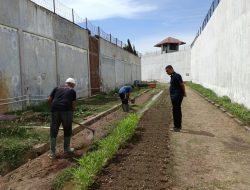 Olahraga Pagi dengan Cangkul: Hangatnya Mentari dan Keringat Produktif WBP Rutan Banda Aceh demi Ketahanan Pangan