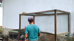 Rutan Singkil Hadirkan Aviary sebagai Sarana Pembinaan dan Rekreasi Warga Binaan