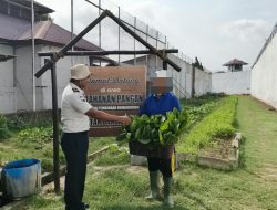 Menanam Harapan dari Balik Jeruji, WBP Rutan Banda Aceh Berkarya Lewat Ketahanan Pangan
