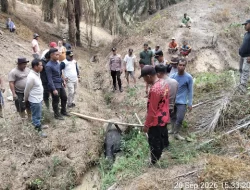 Warga Mesuji Temukan Tapir di Kebun Sawit PT PAL, Polsek Way Serdang Dampingi Evakuasi