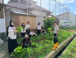 Dukung Ketahanan Pangan Berkelanjutan, Rutan Banda Aceh Panen Sawi Hasil Budidaya Warga Binaan