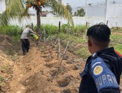 Terus Produktif, Rutan Singkil Tanam Timun untuk Perkuat Ketahanan Pangan