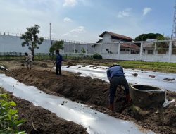 Rutan Singkil Siapkan Lahan untuk Budidaya Cabai