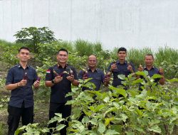 Panen Terong di Kebun 3, Karutan Singkil Terus Dorong Produktivitas Ketahanan Pangan