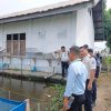 Jajaki Kerja Sama Ketahanan Pangan, Tim Dapur MBG Simpang Kanan Tinjau Peternakan Lele Rutan Singkil