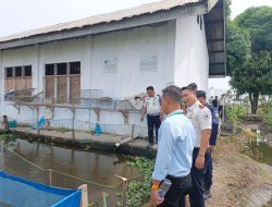 Jajaki Kerja Sama Ketahanan Pangan, Tim Dapur MBG Simpang Kanan Tinjau Peternakan Lele Rutan Singkil