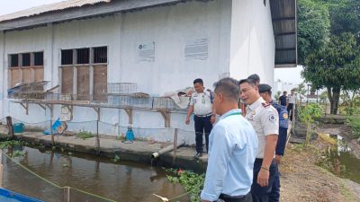 Jajaki Kerja Sama Ketahanan Pangan, Tim Dapur MBG Simpang Kanan Tinjau Peternakan Lele Rutan Singkil