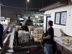 Gagal Menyeberang ke Jakarta, 2.775 Ekor Burung Tanpa Dokumen Diamankan di Pelabuhan Bakauheni