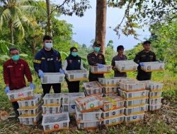 Sinergi Lintas Instansi, KSKP Bakauheni Dampingi Pelepasliaran 2.775 Ekor Burung Tanpa Dokumen